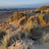 Sefton sand dunes